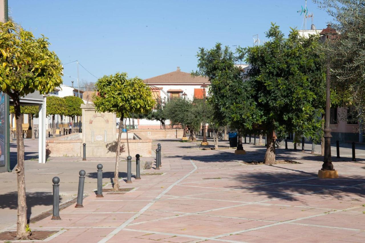 Casa Rural La Palmera Almodovar del Rio Exterior photo